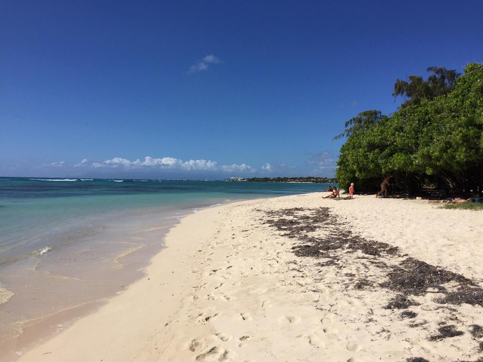 Villa Les Saintes 4/5 P A 50M De La Plage De L'Anse De Mancillier Екстер'єр фото