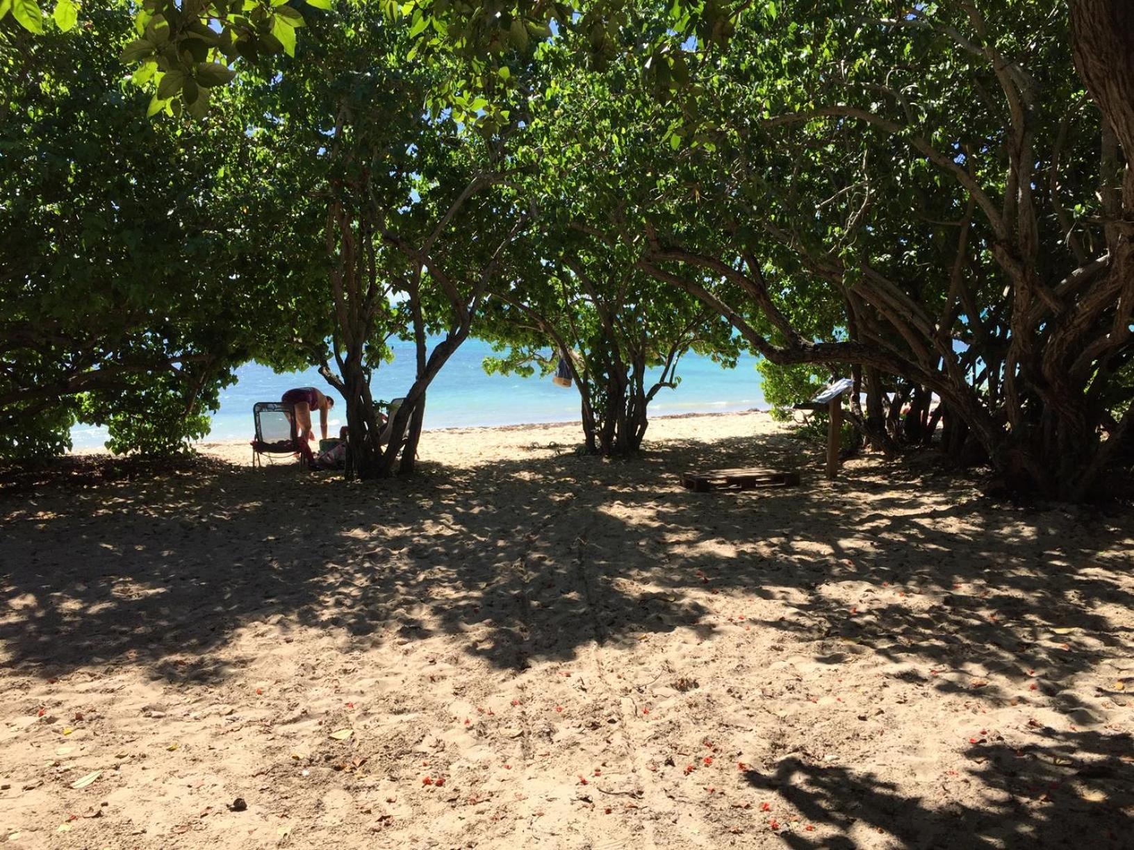Villa Les Saintes 4/5 P A 50M De La Plage De L'Anse De Mancillier Екстер'єр фото